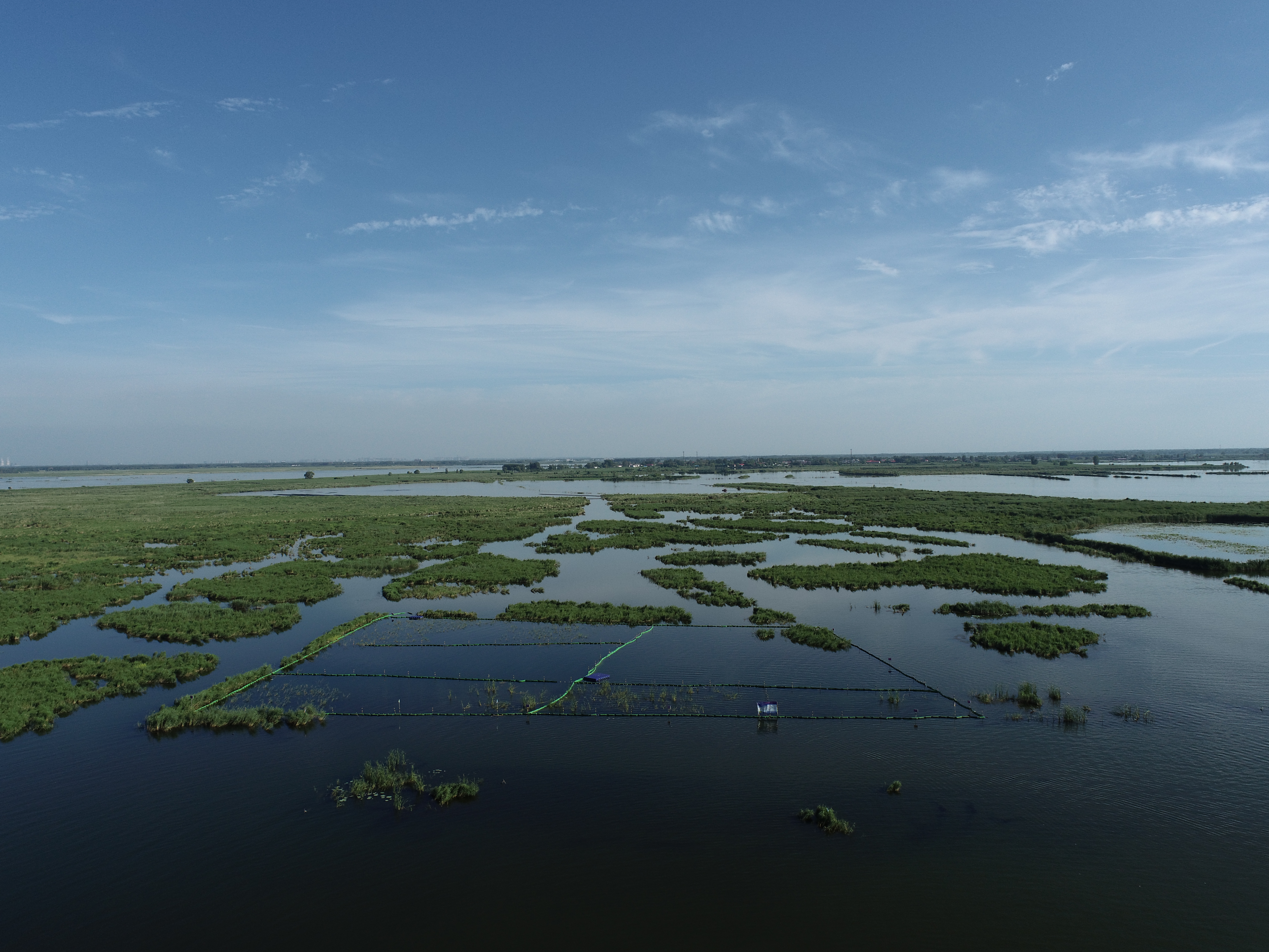 雄安新區(qū)白洋淀水生植被生態(tài)調(diào)控修復(fù)技術(shù)及示范研究項(xiàng)目實(shí)驗(yàn)區(qū).jpg